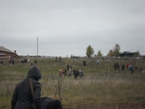 акция "Посади дерево"