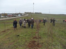 акция "Посади дерево"